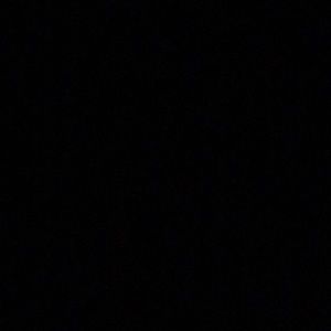 Meet your Posher, Ray